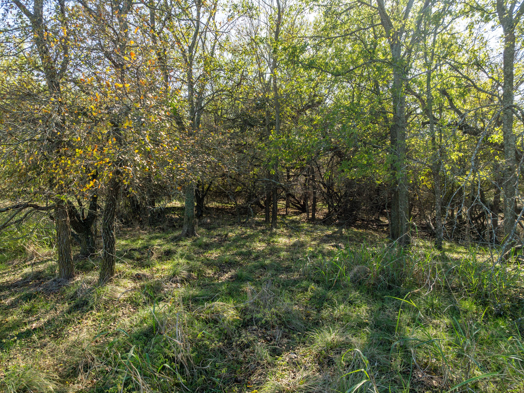 17134 Woodlawn Drive Whitney TX 76692