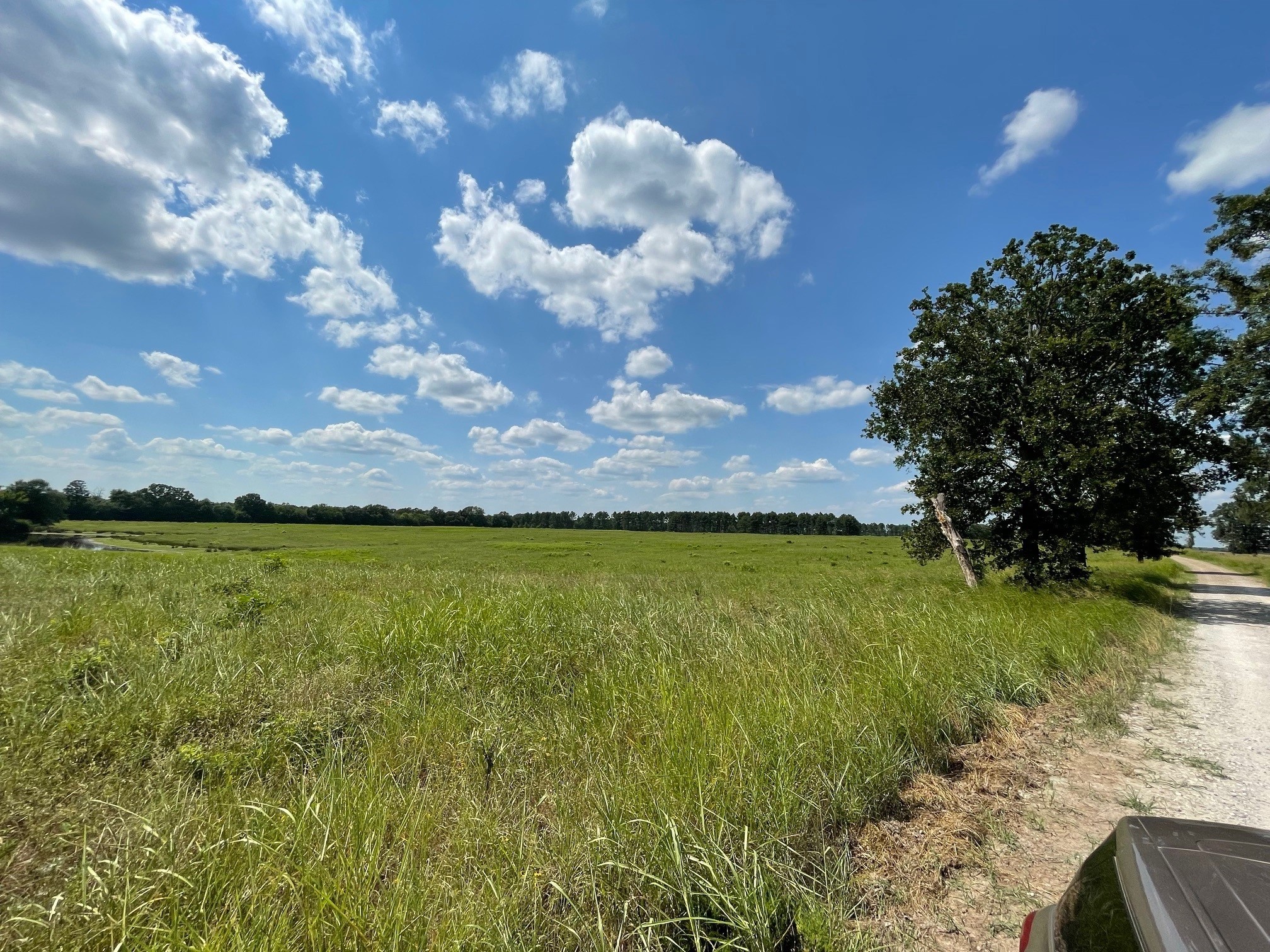 332 County Road 1290 Clarksville TX 75426