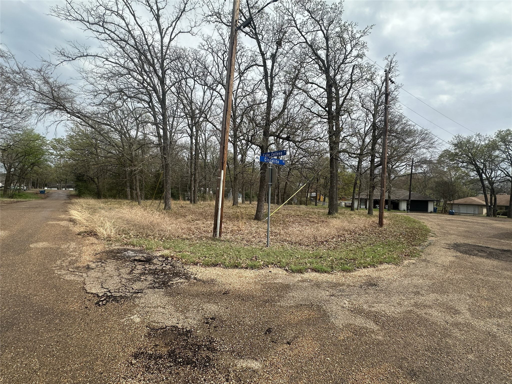 106 Calle Colleen Mabank TX 75156