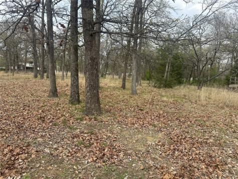106 Calle Colleen Mabank TX 75156