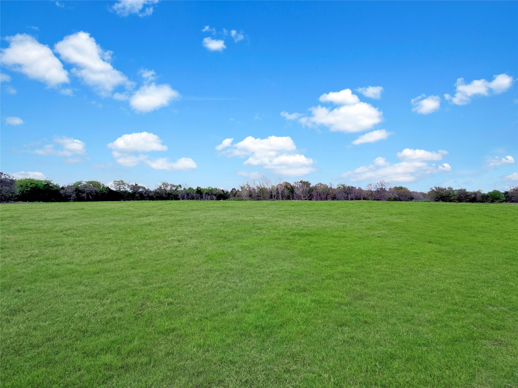 2635 Private Road 1167 Farmersville TX 75442