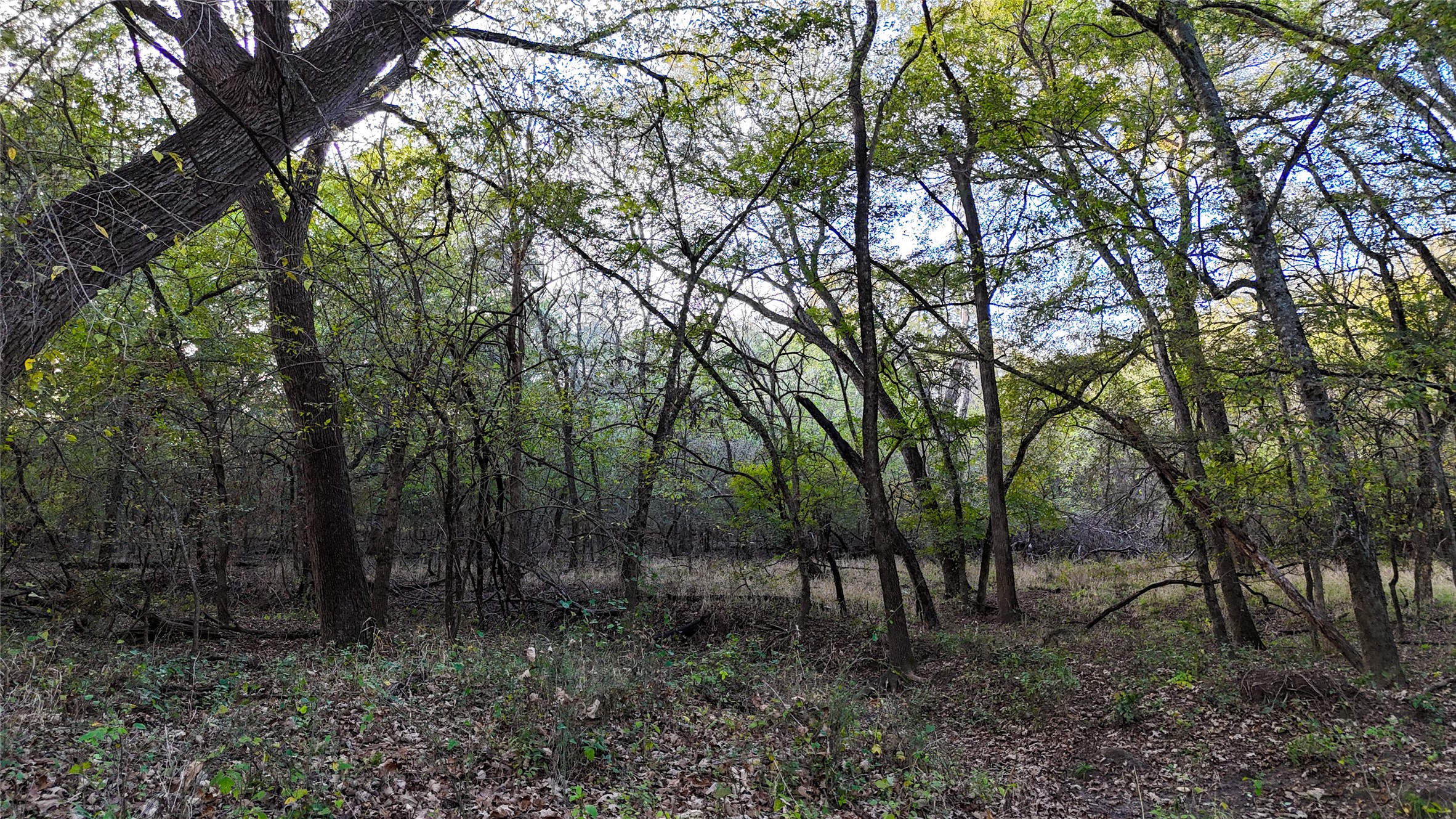 Tbd Old Stoney Road Ponder TX 76259