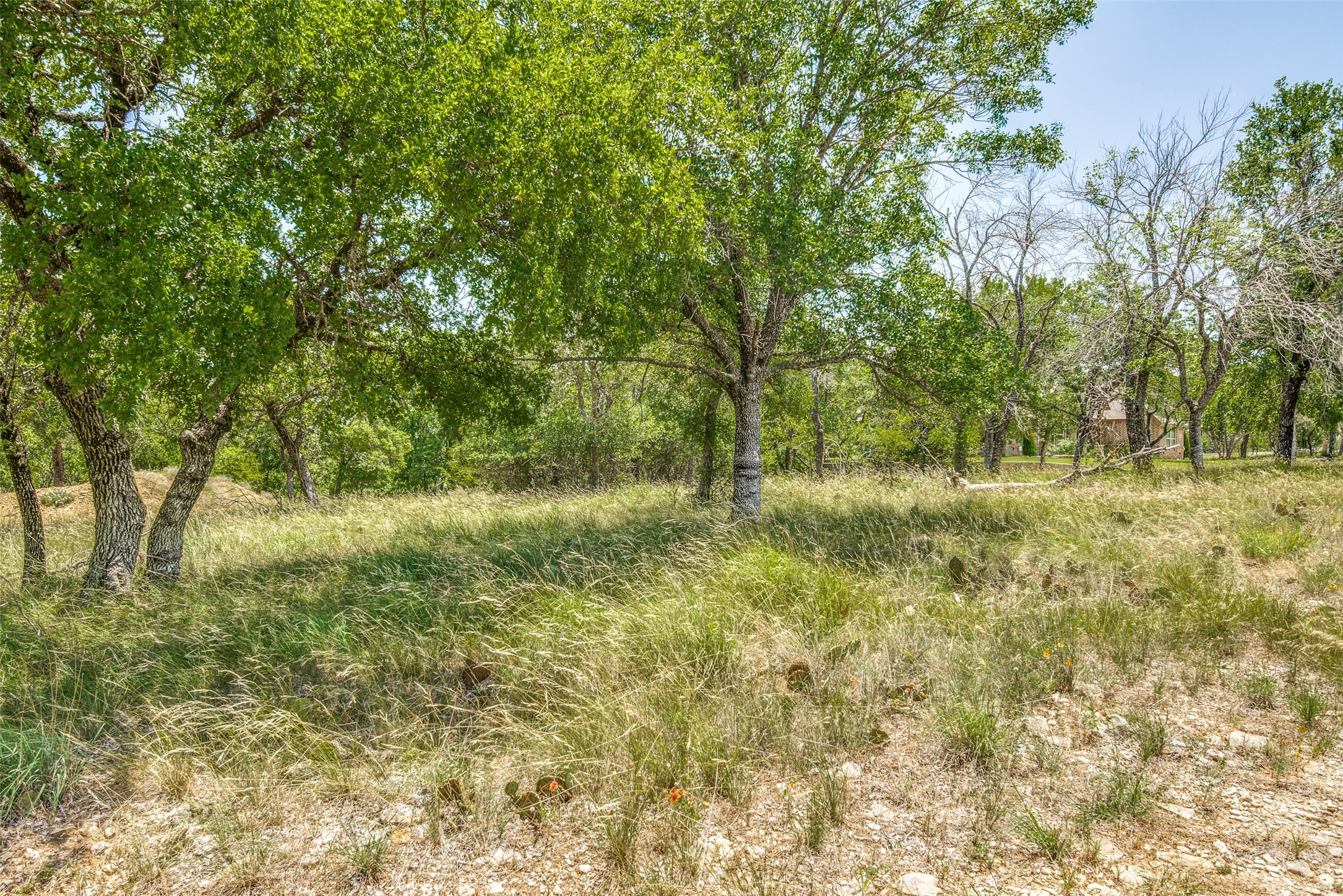 Lot 41 Grand Harbor Boulevard Chico TX 76431