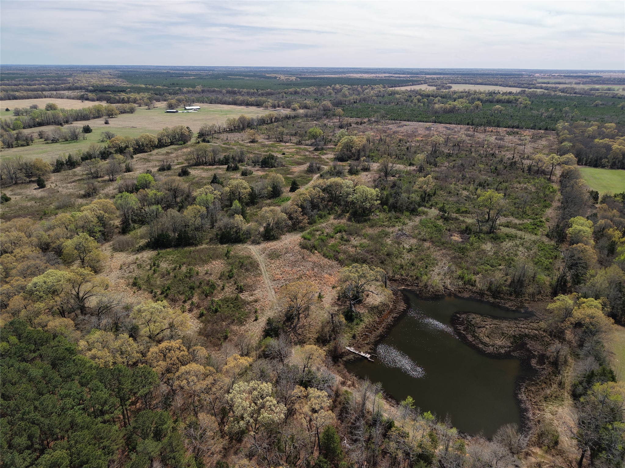Tbd County Road S. 2242 Bagwell TX 75412