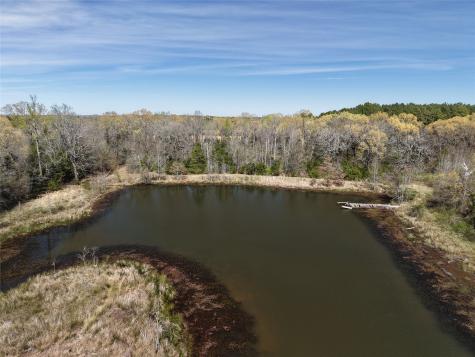 Tbd County Road S. 2242 Bagwell TX 75412