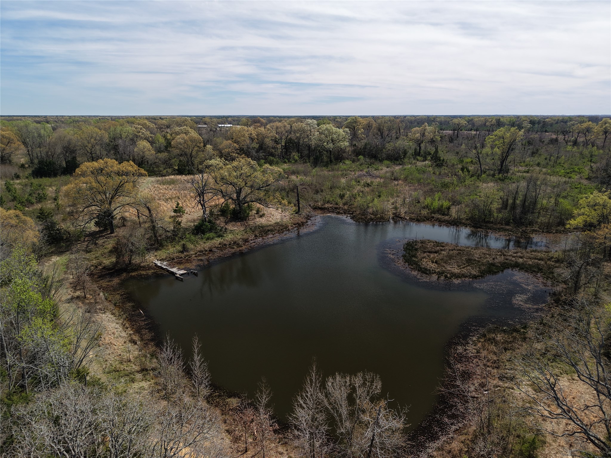 Tbd County Road S. 2242 Bagwell TX 75412