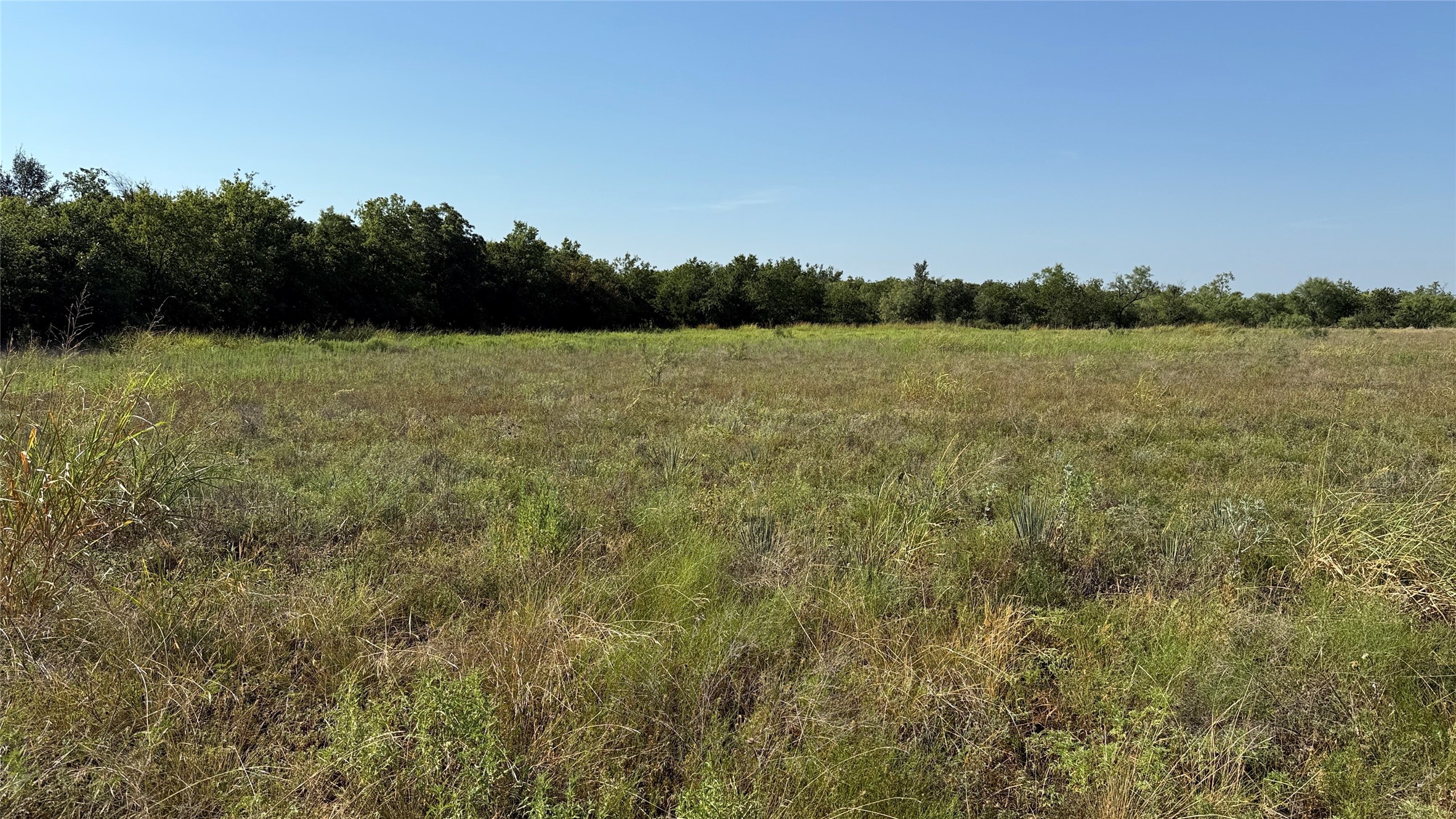 0 Bowers Street Santa Anna TX 76878