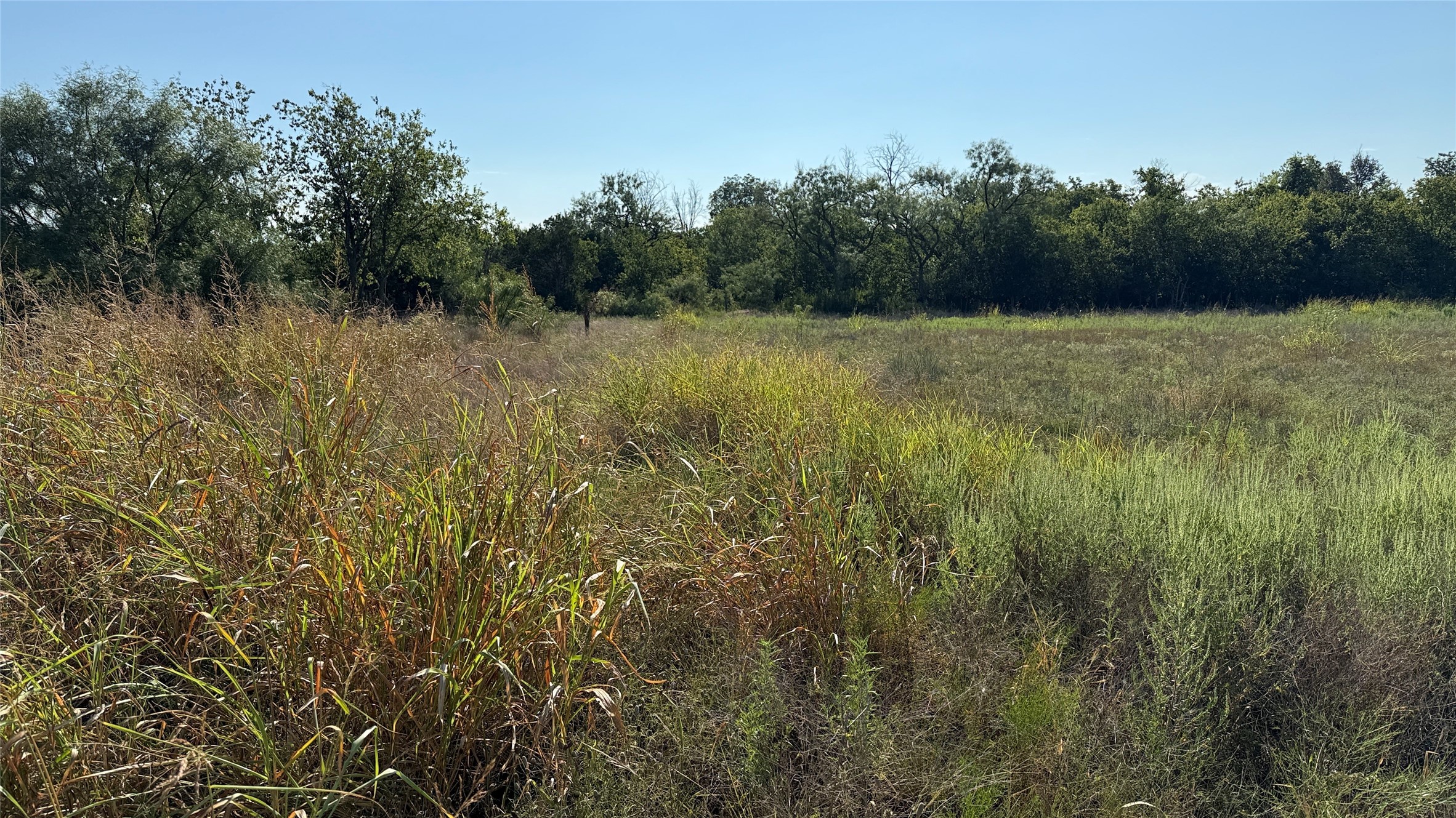 0 Bowers Street Santa Anna TX 76878