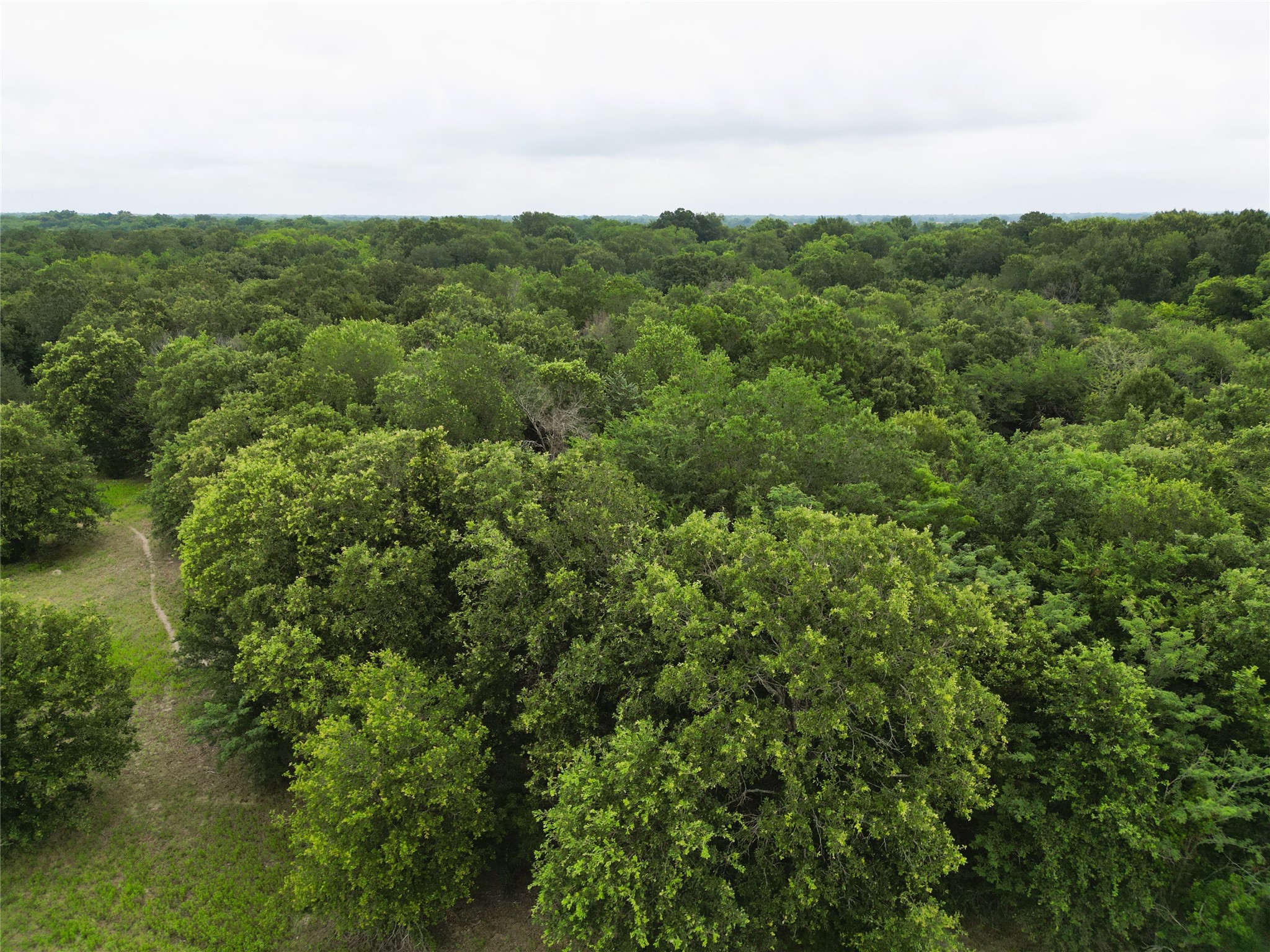 30.213AC County Road 4766 Sulphur Springs TX 75482