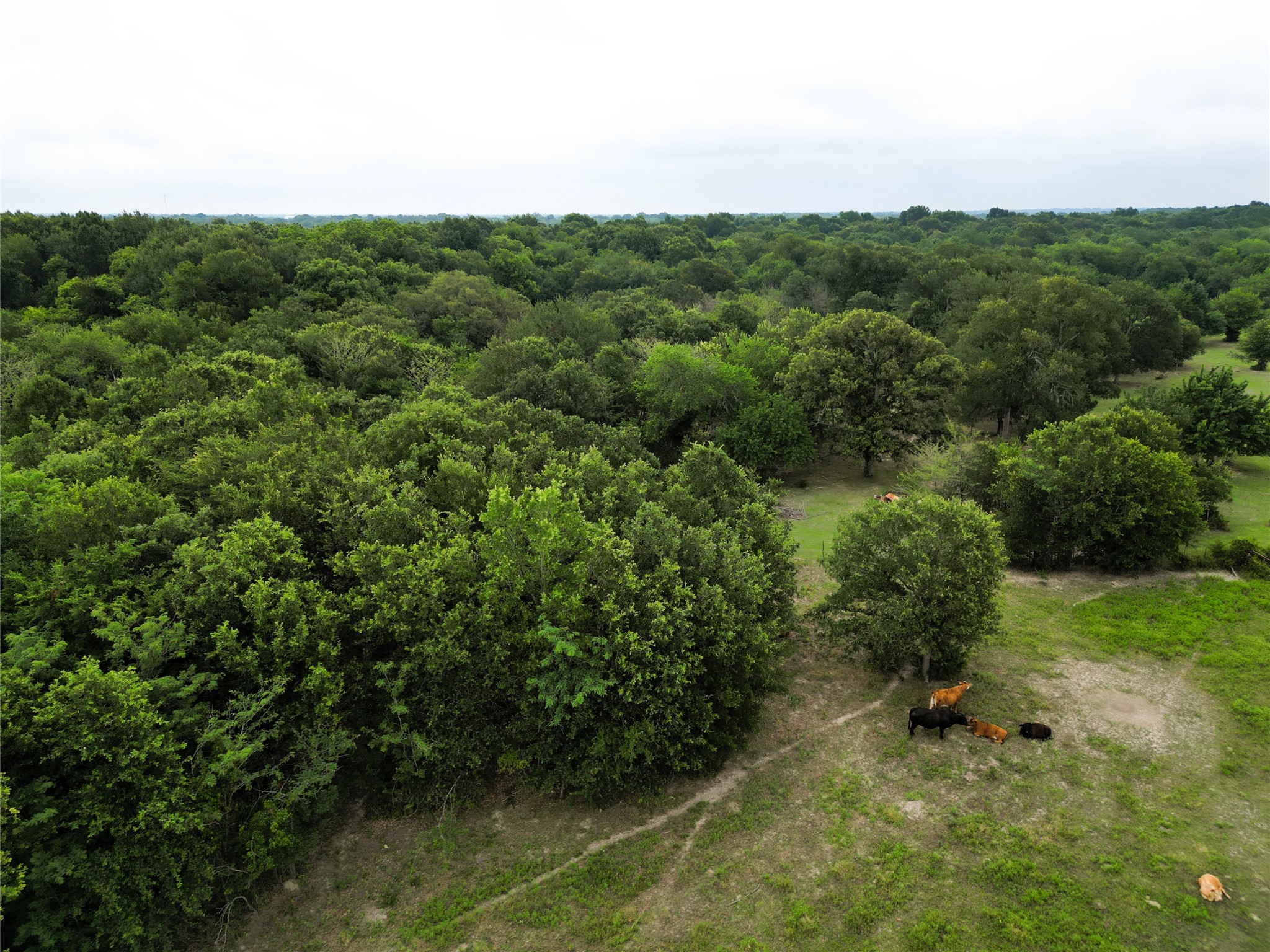 30.213AC County Road 4766 Sulphur Springs TX 75482