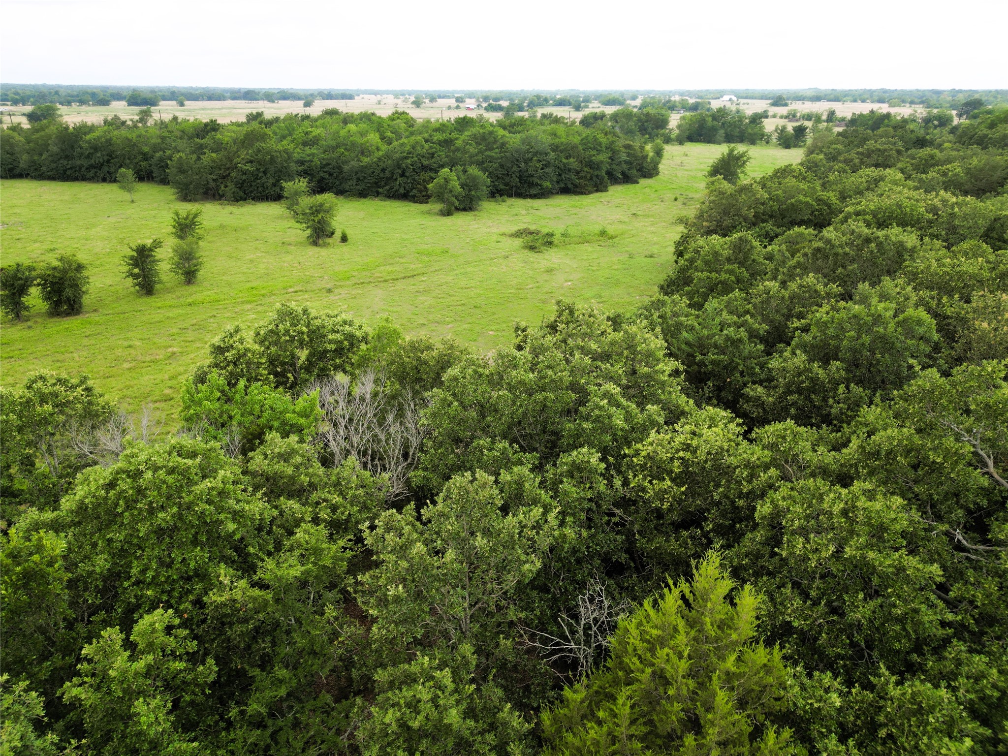 30.213AC County Road 4766 Sulphur Springs TX 75482