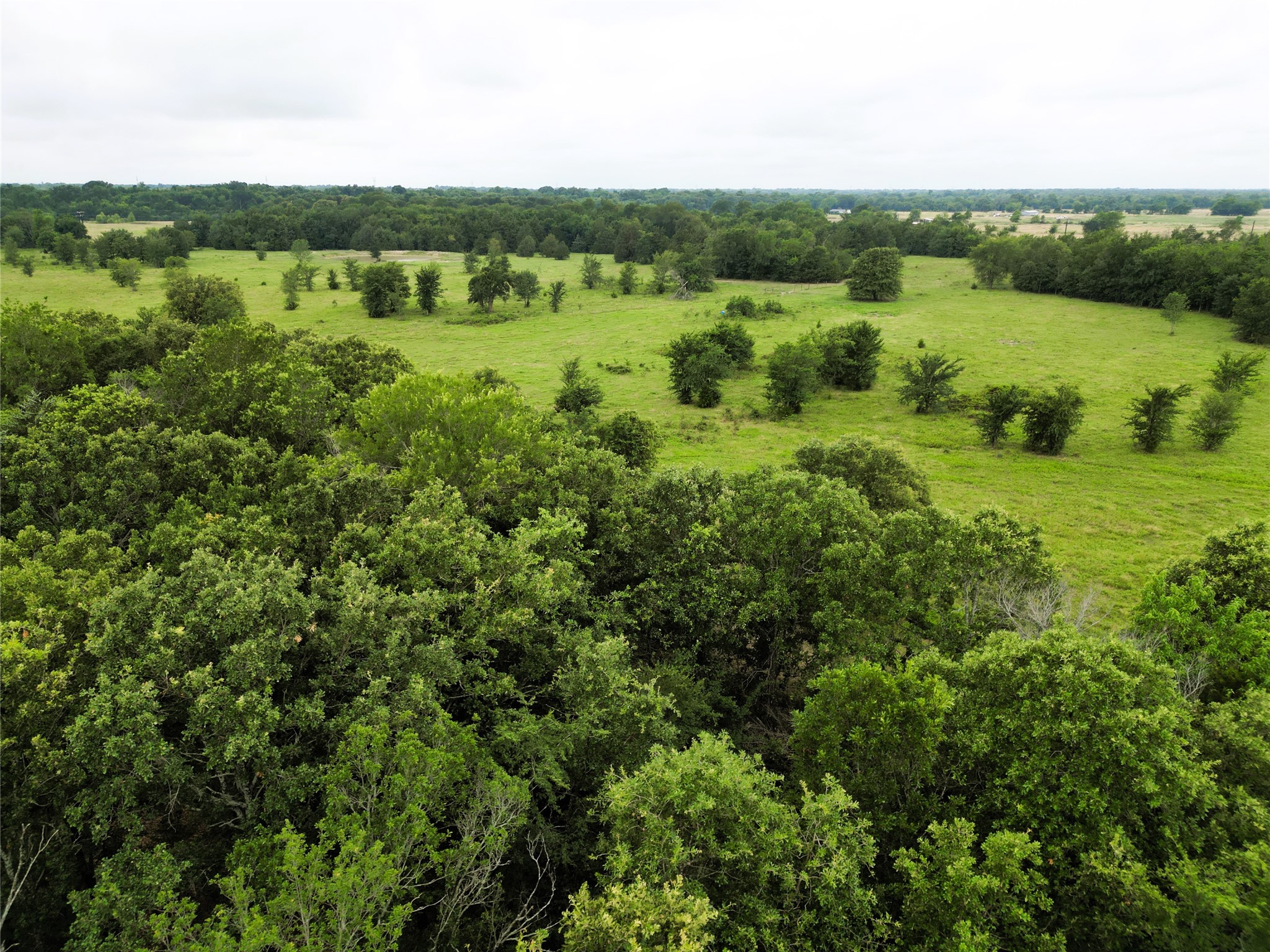 30.213AC County Road 4766 Sulphur Springs TX 75482
