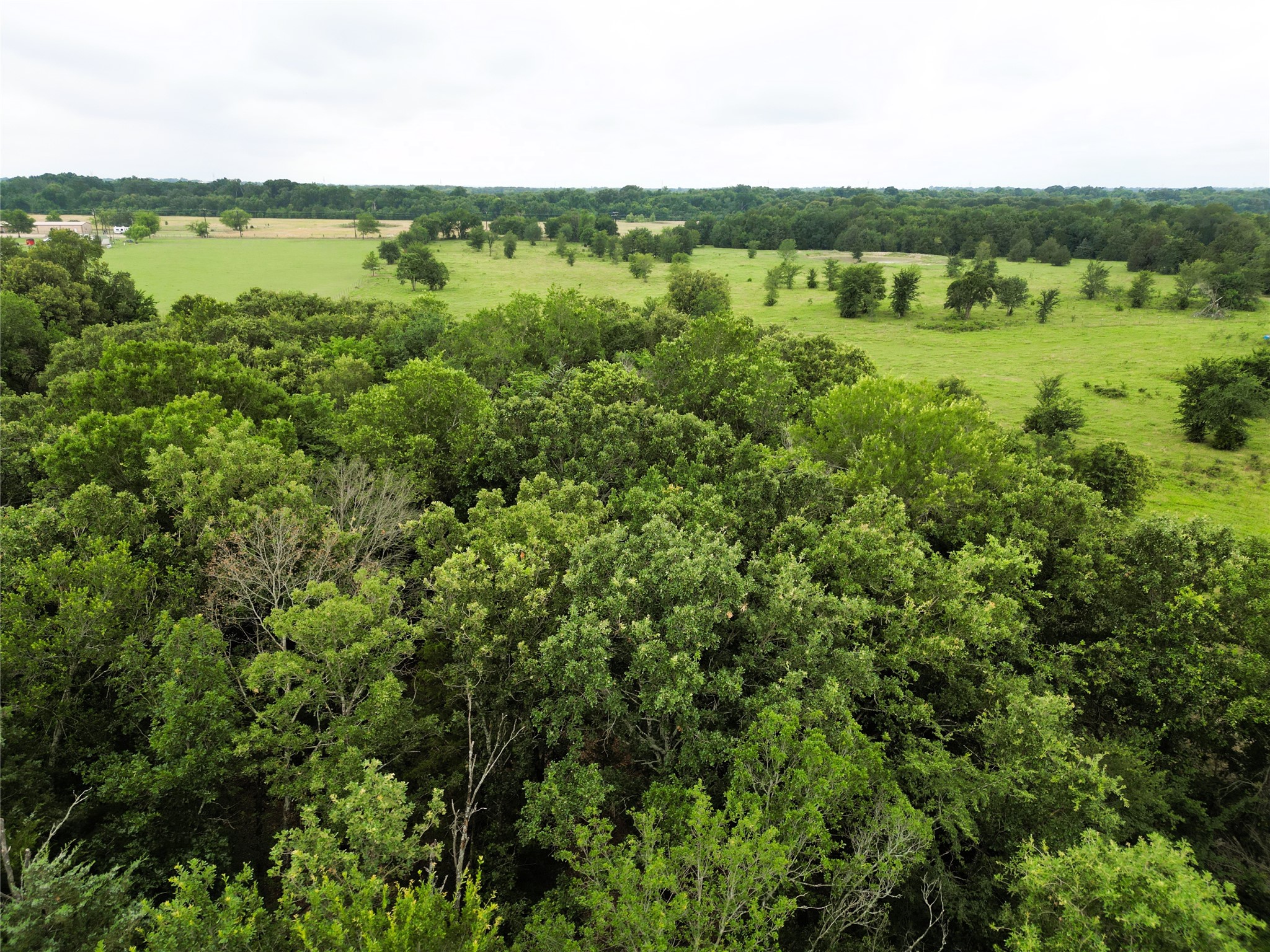 30.213AC County Road 4766 Sulphur Springs TX 75482