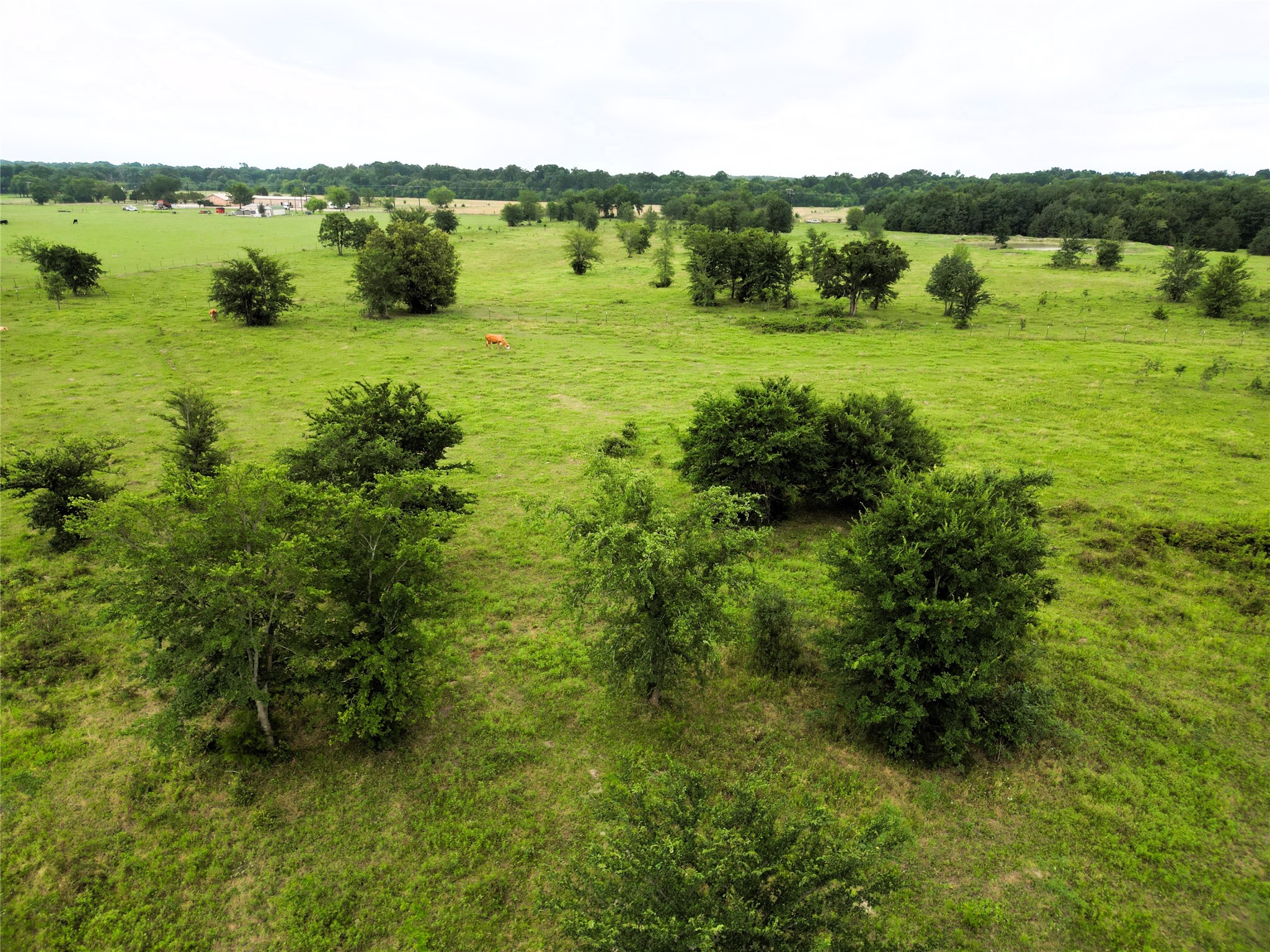 30.213AC County Road 4766 Sulphur Springs TX 75482
