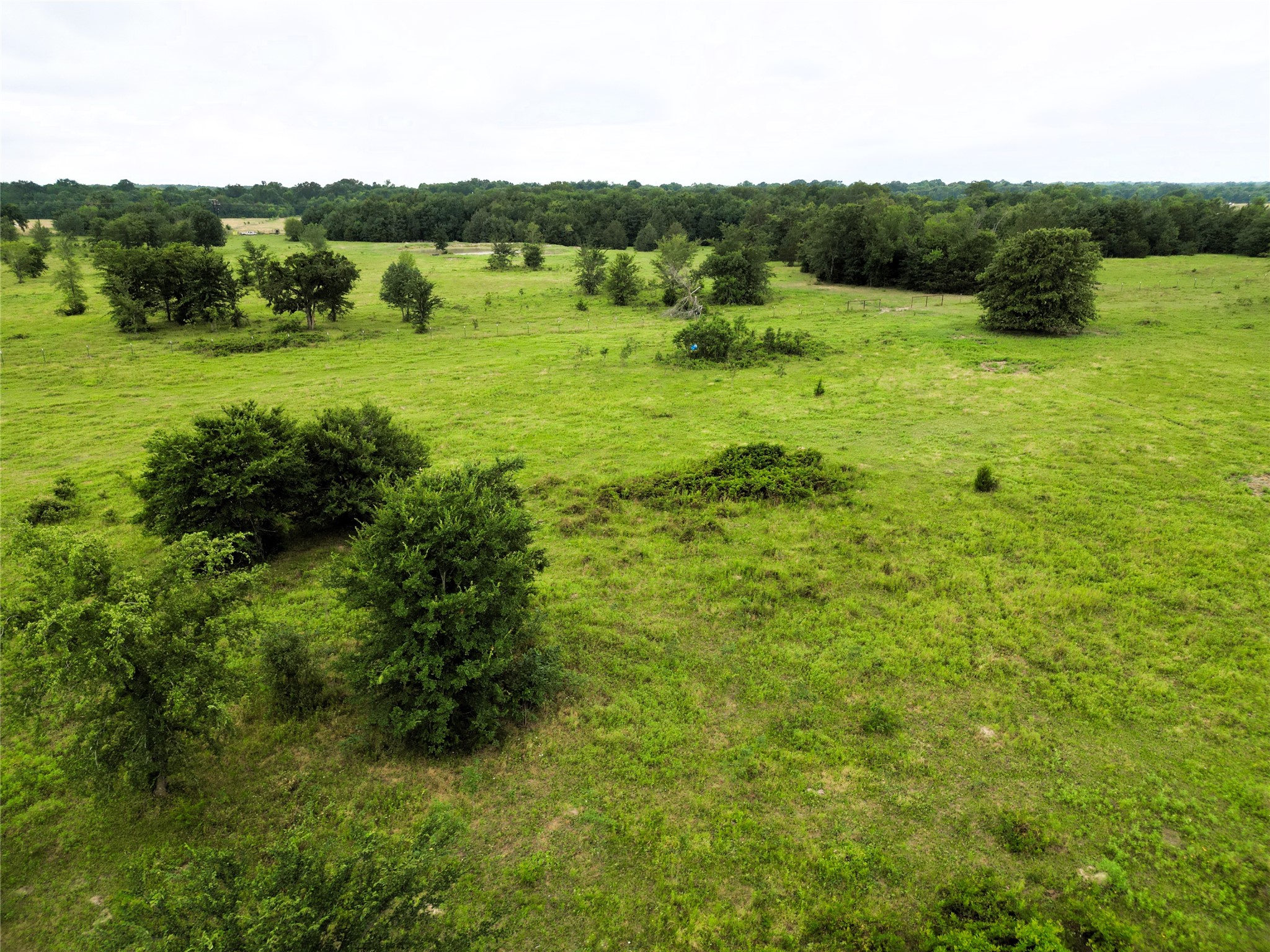 30.213AC County Road 4766 Sulphur Springs TX 75482
