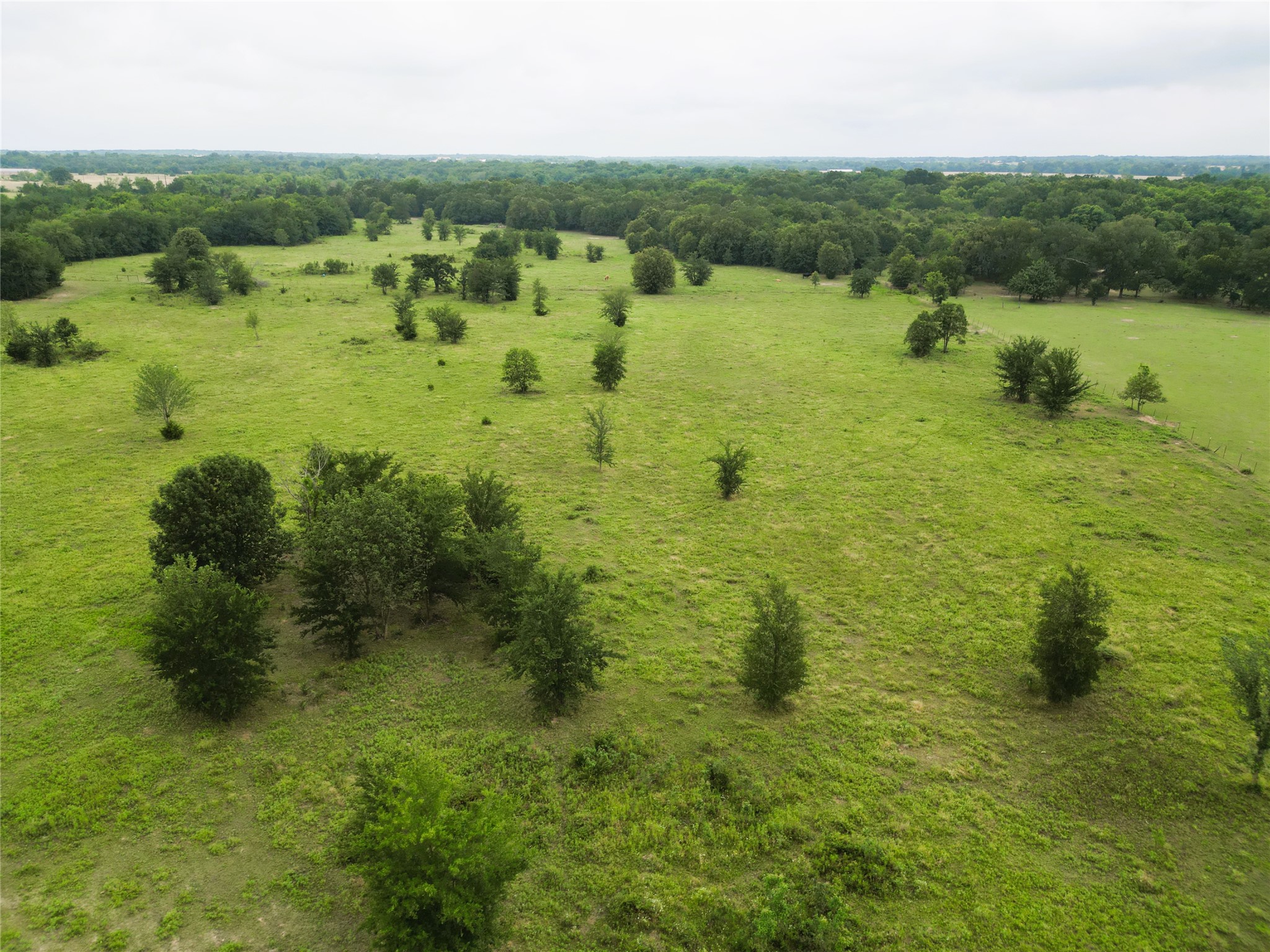 30.213AC County Road 4766 Sulphur Springs TX 75482