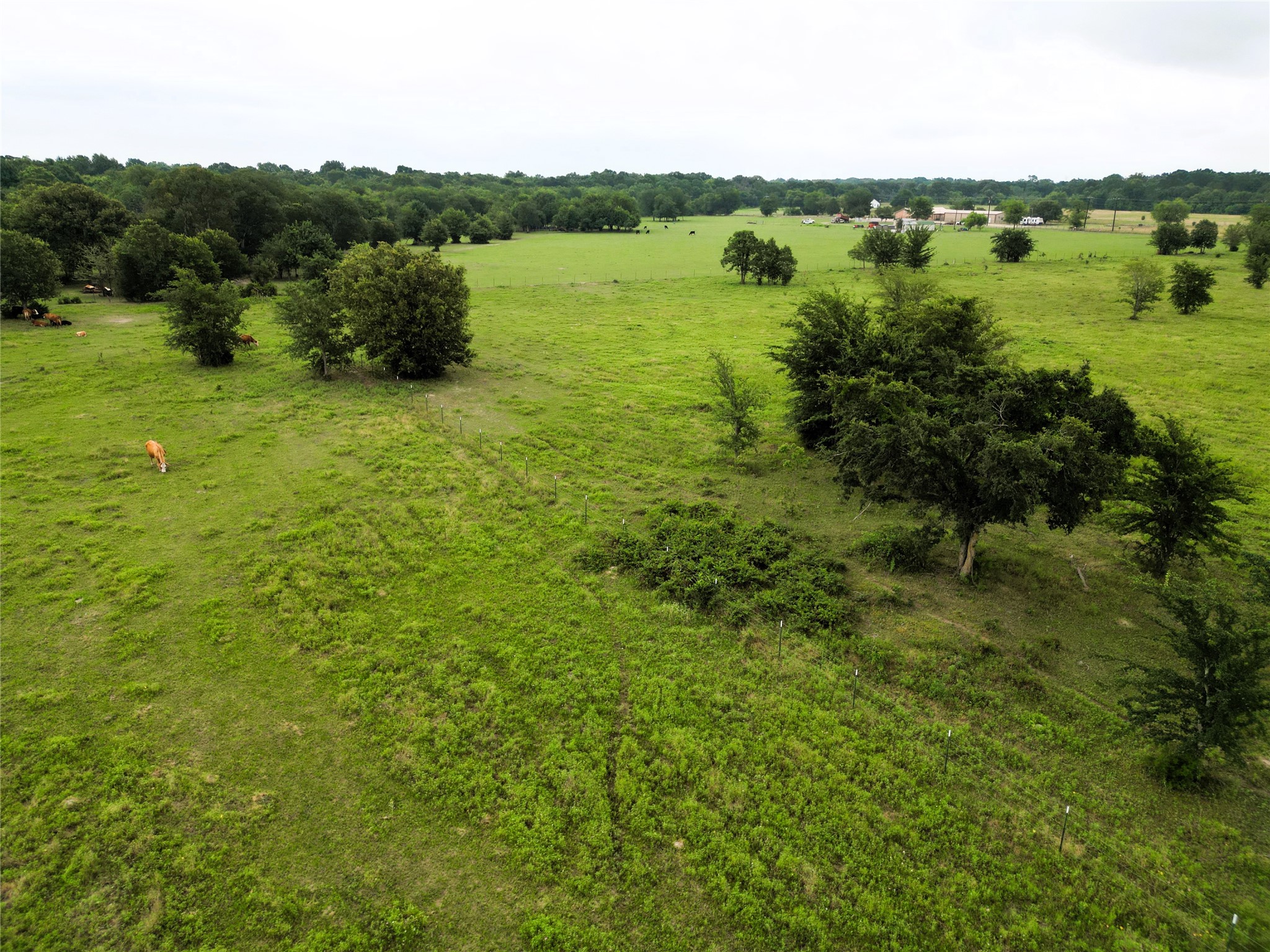 30.213AC County Road 4766 Sulphur Springs TX 75482