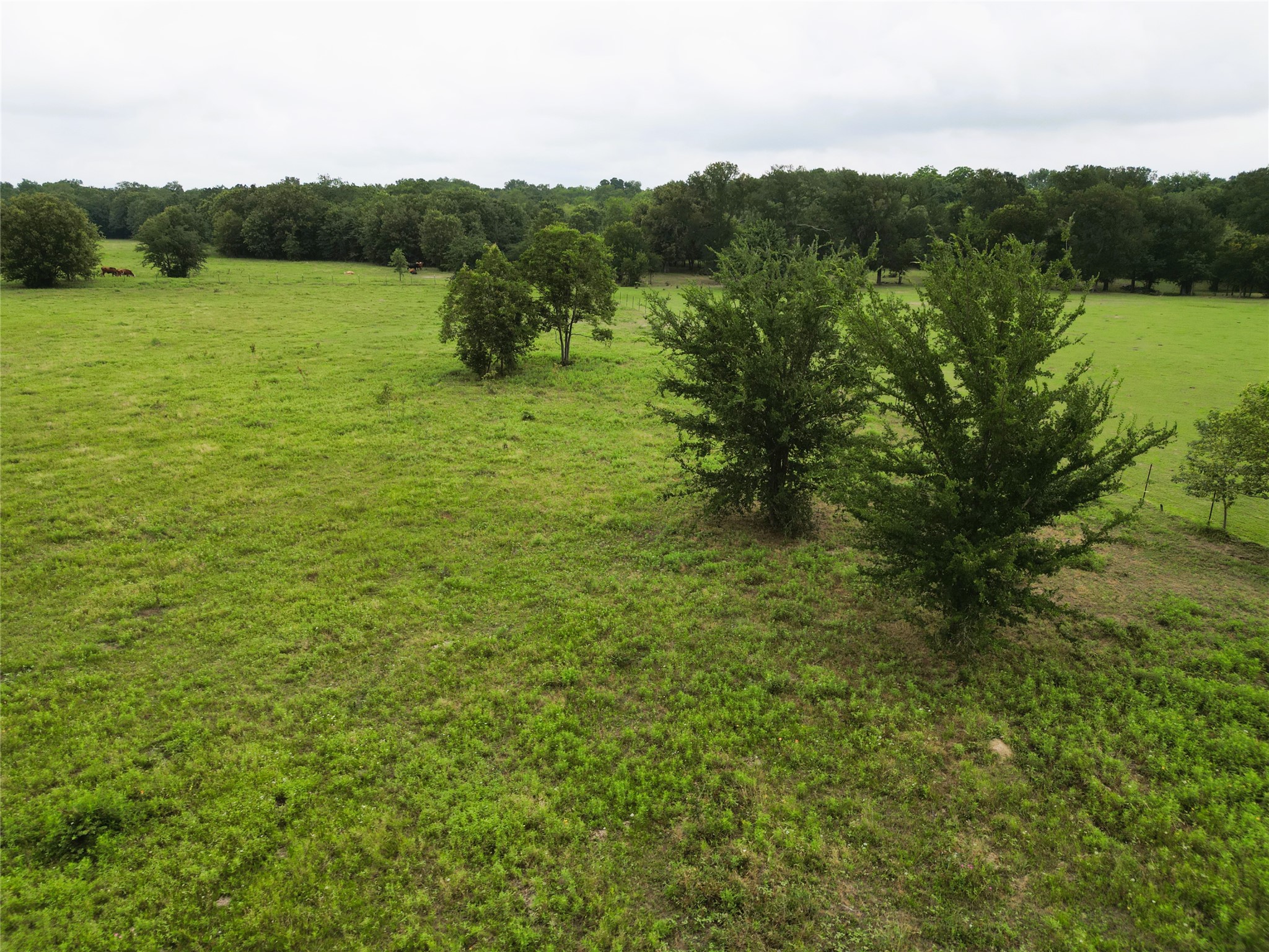30.213AC County Road 4766 Sulphur Springs TX 75482