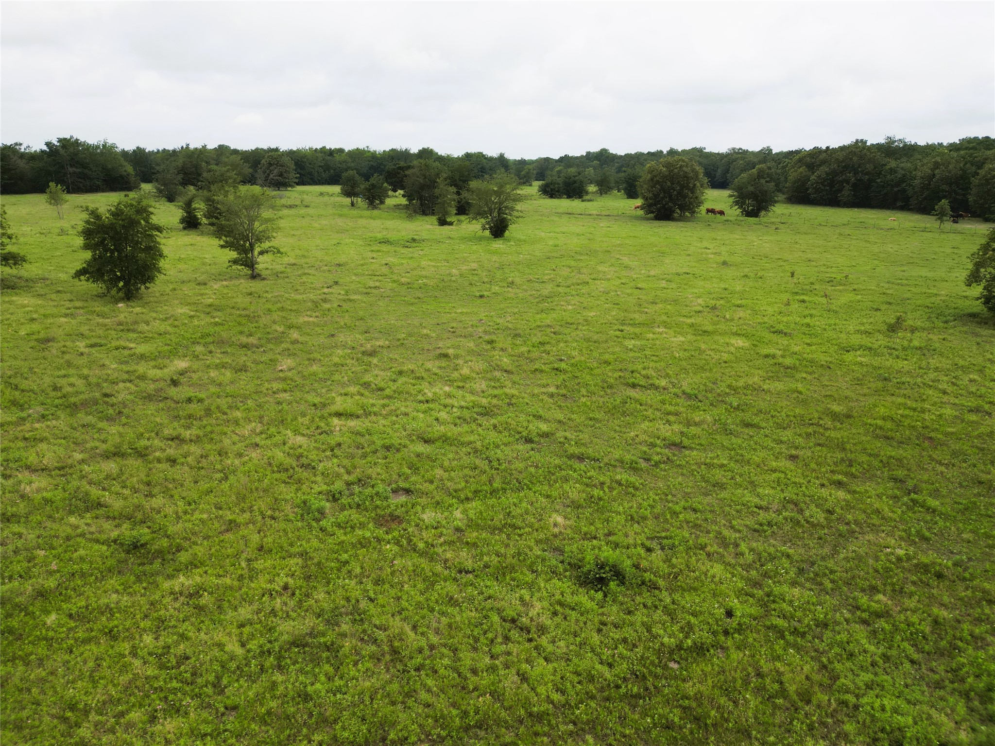 30.213AC County Road 4766 Sulphur Springs TX 75482