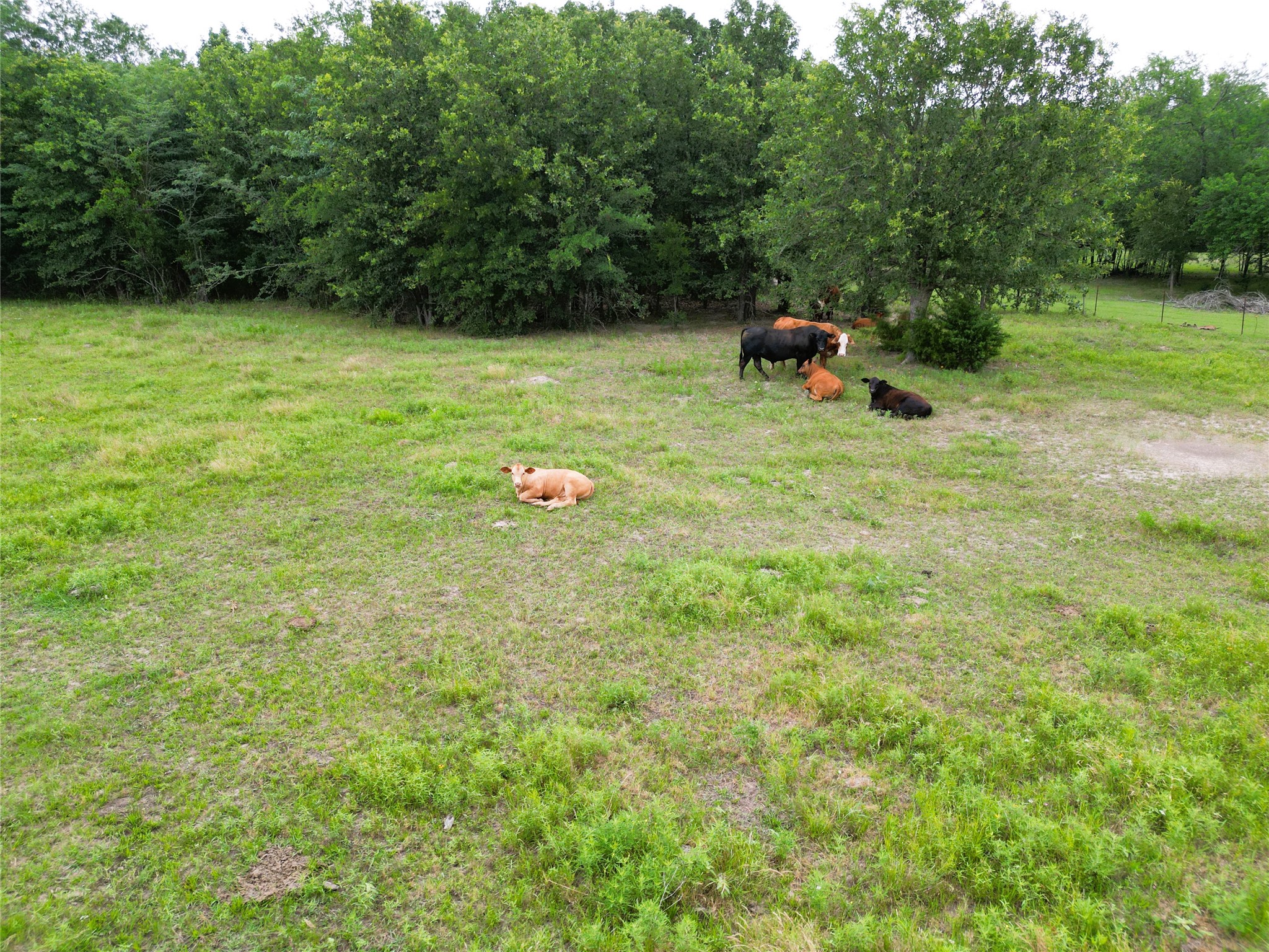 30.213AC County Road 4766 Sulphur Springs TX 75482