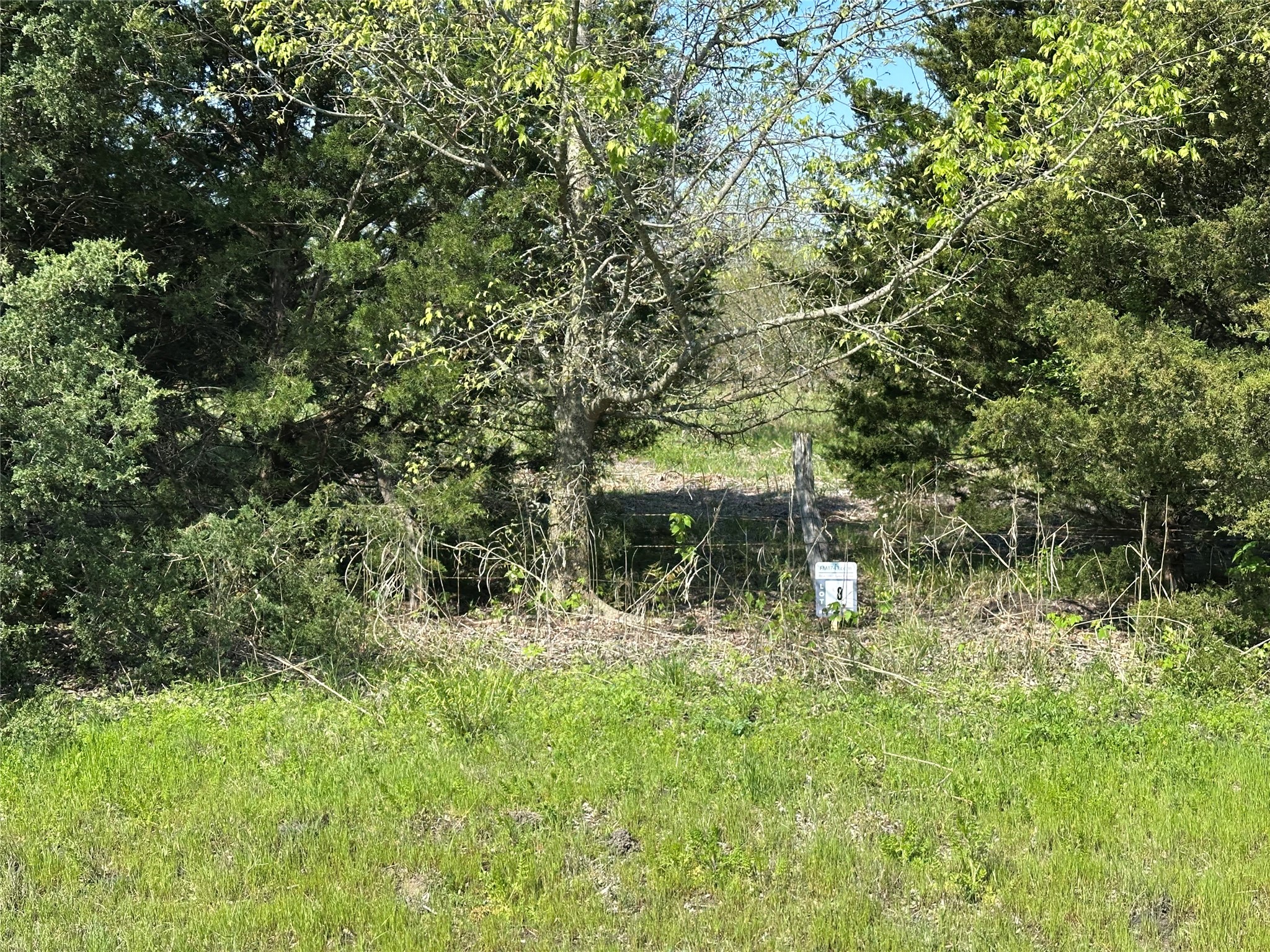 Tract 8 Farm To Market 1743 Honey Grove TX 75446