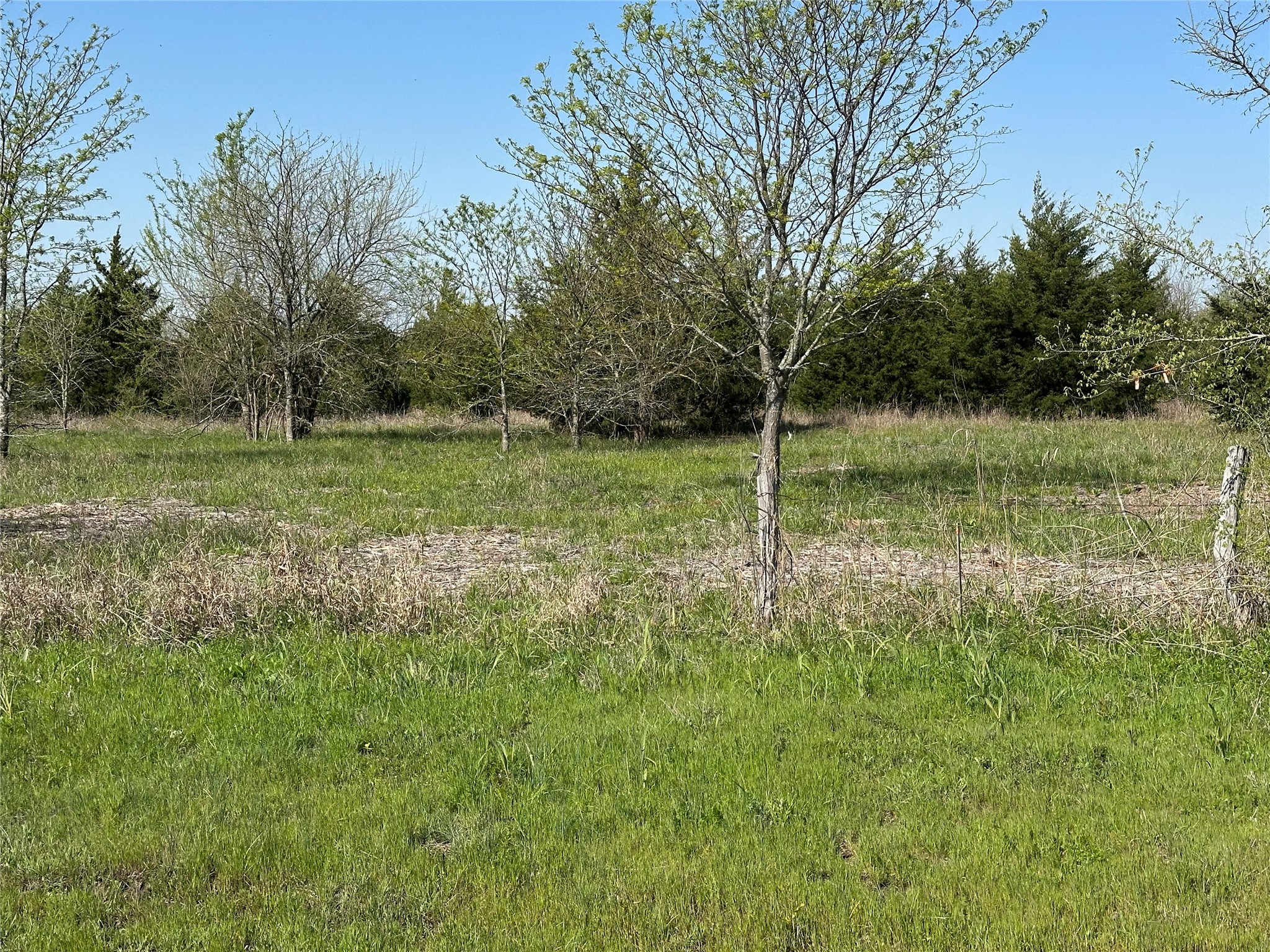 Tract 8 Farm To Market 1743 Honey Grove TX 75446