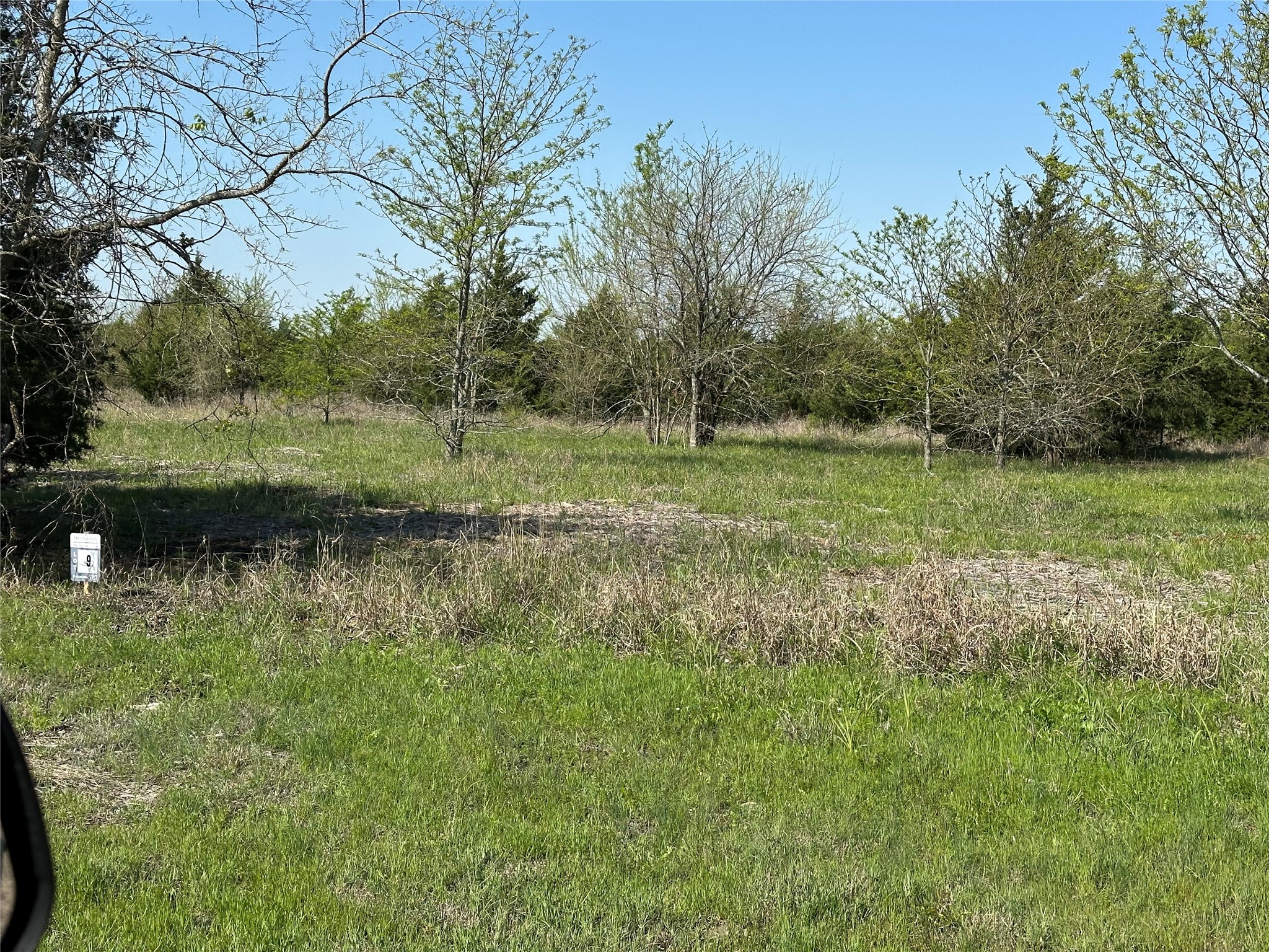 Tract 8 Farm To Market 1743 Honey Grove TX 75446