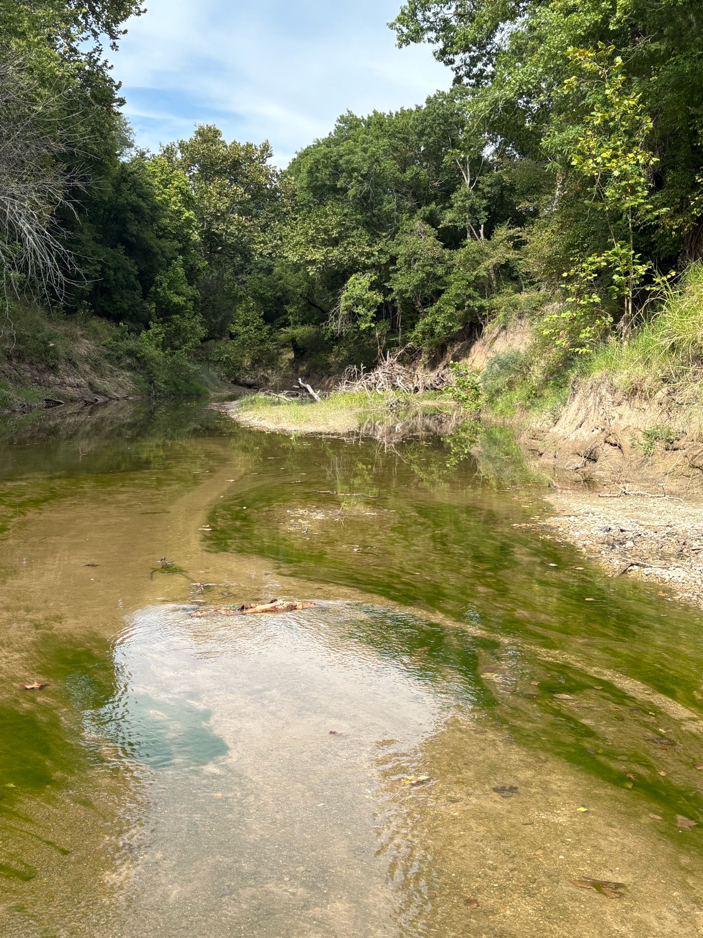 10350 W Clear Creek Road Sanger TX 76266