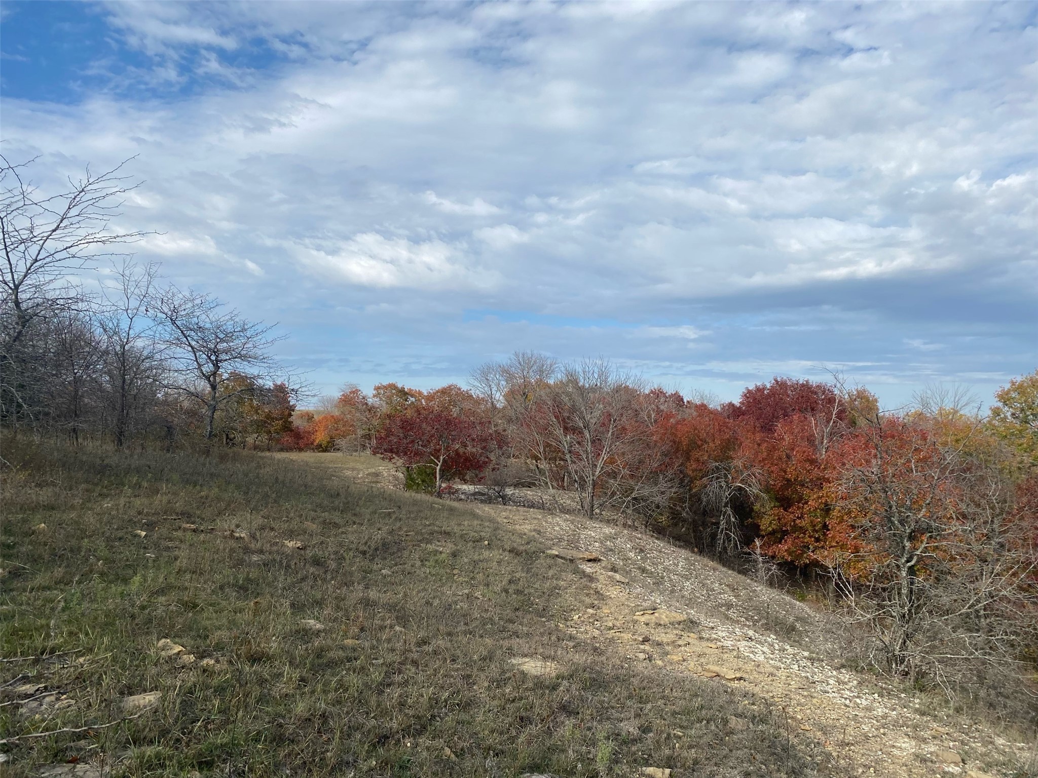 10350 W Clear Creek Road Sanger TX 76266