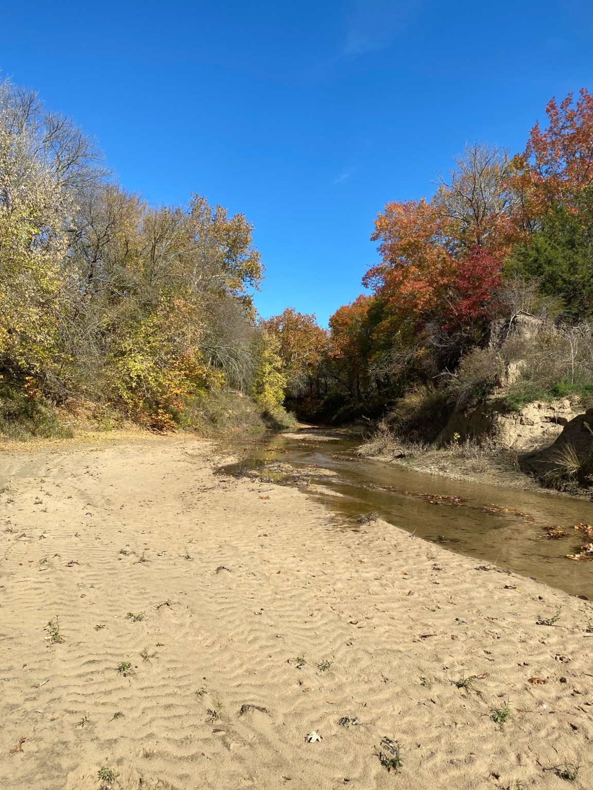 10350 W Clear Creek Road Sanger TX 76266