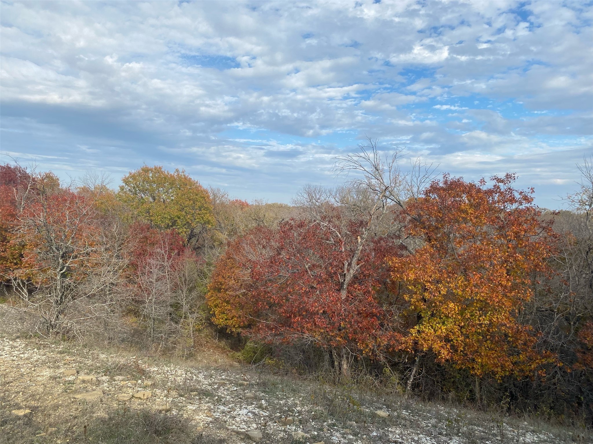 10350 W Clear Creek Road Sanger TX 76266