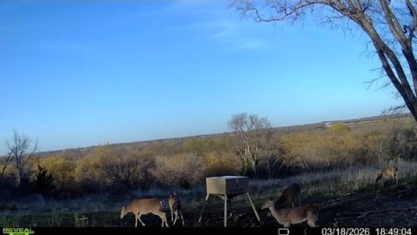 10350 W Clear Creek Road Sanger TX 76266