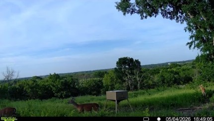 10350 W Clear Creek Road Sanger TX 76266