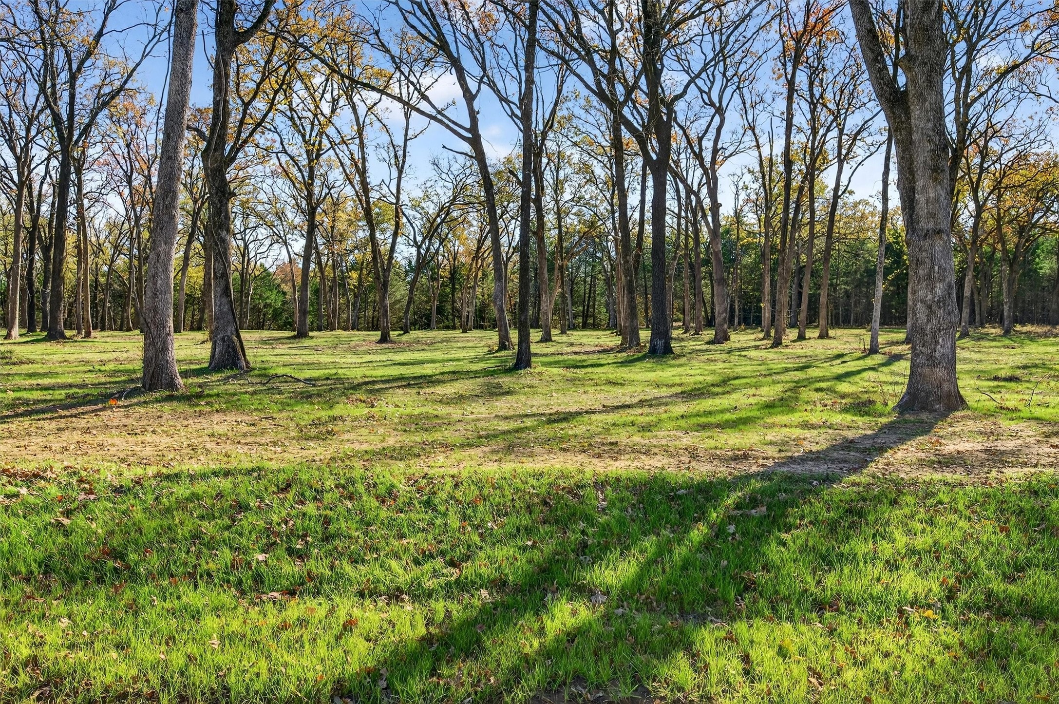 Lot 15 Buck Trail Pottsboro TX 75076
