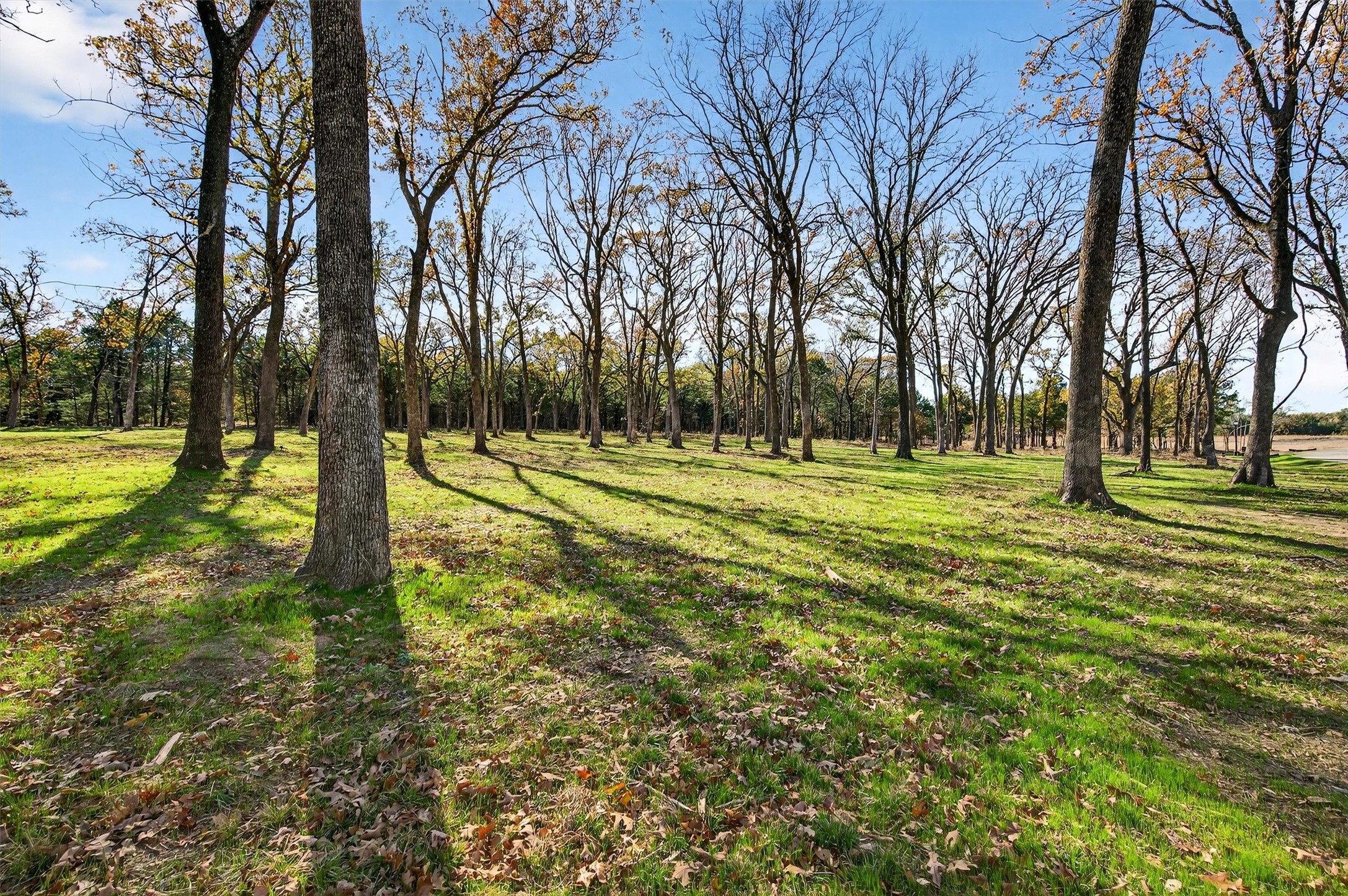Lot 15 Buck Trail Pottsboro TX 75076