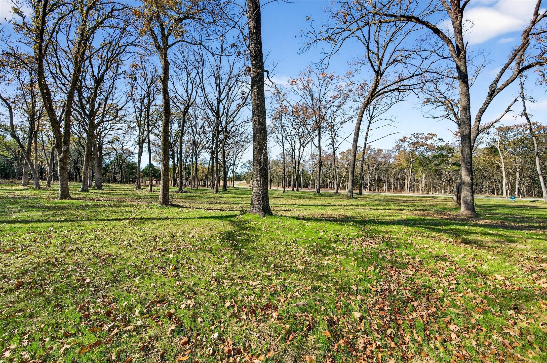 Lot 15 Buck Trail Pottsboro TX 75076