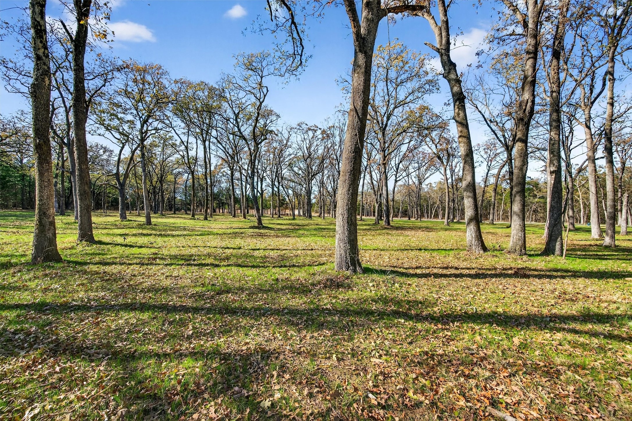 Lot 15 Buck Trail Pottsboro TX 75076