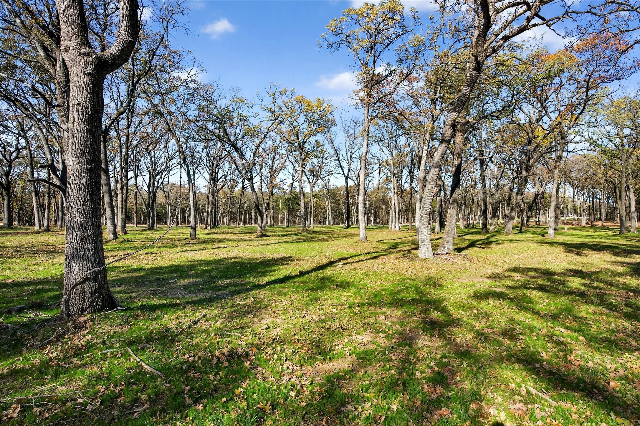 Lot 15 Buck Trail Pottsboro TX 75076