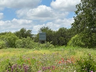 90 Fm 2492 Brownwood TX 76801
