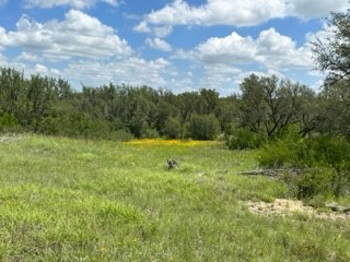 90 Fm 2492 Brownwood TX 76801