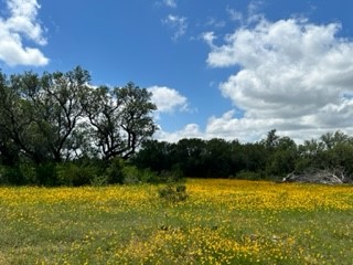 90 Fm 2492 Brownwood TX 76801