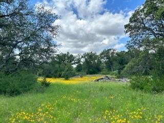 90 Fm 2492 Brownwood TX 76801