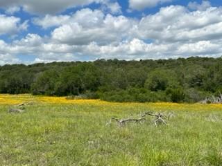 90 Fm 2492 Brownwood TX 76801