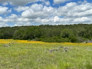 90 Fm 2492 Brownwood TX 76801