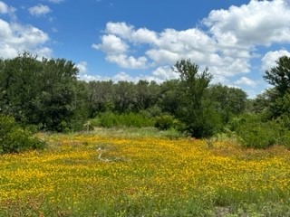 90 Fm 2492 Brownwood TX 76801