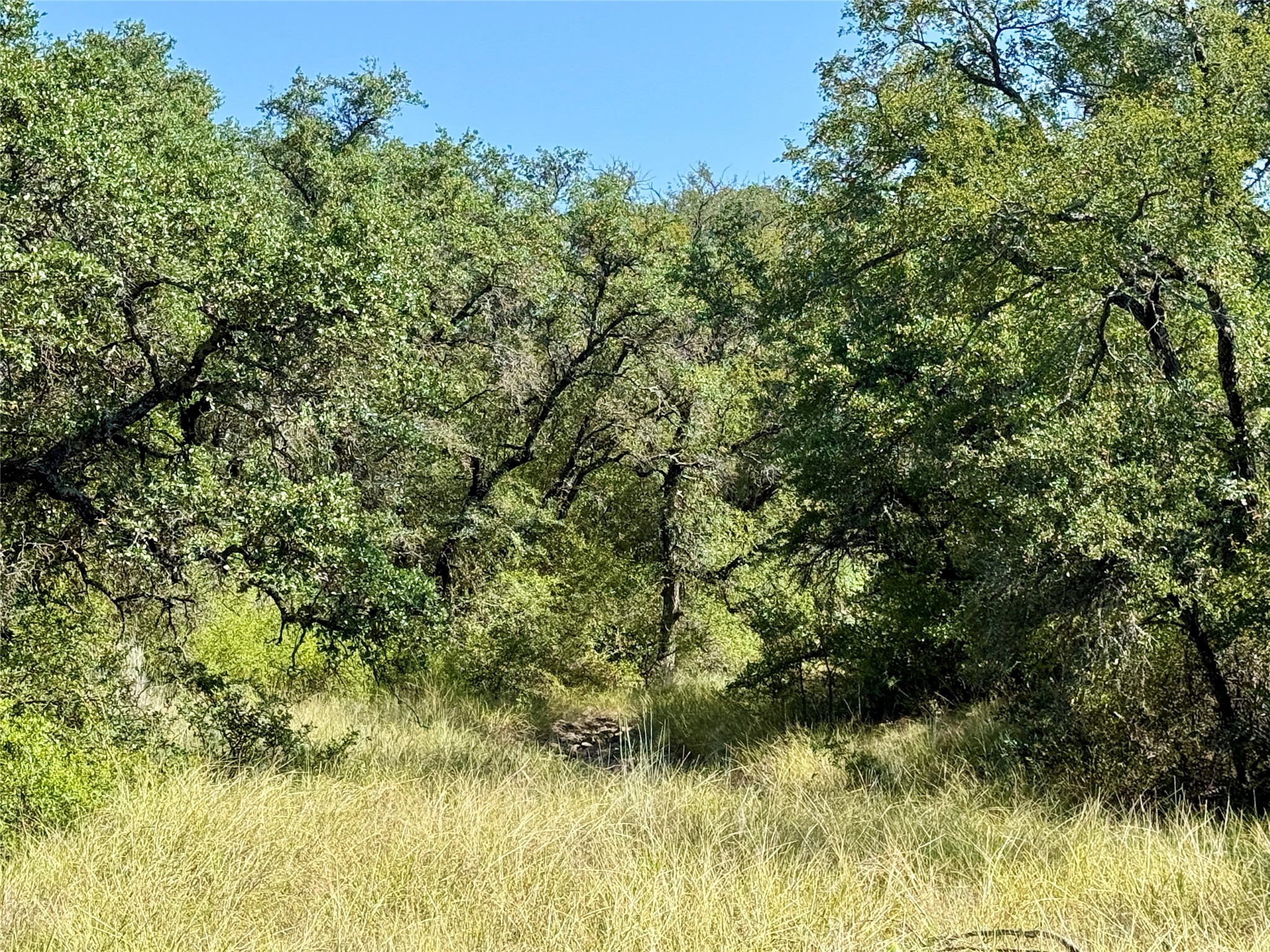 90 Fm 2492 Brownwood TX 76801
