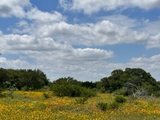 90 Fm 2492 Brownwood TX 76801