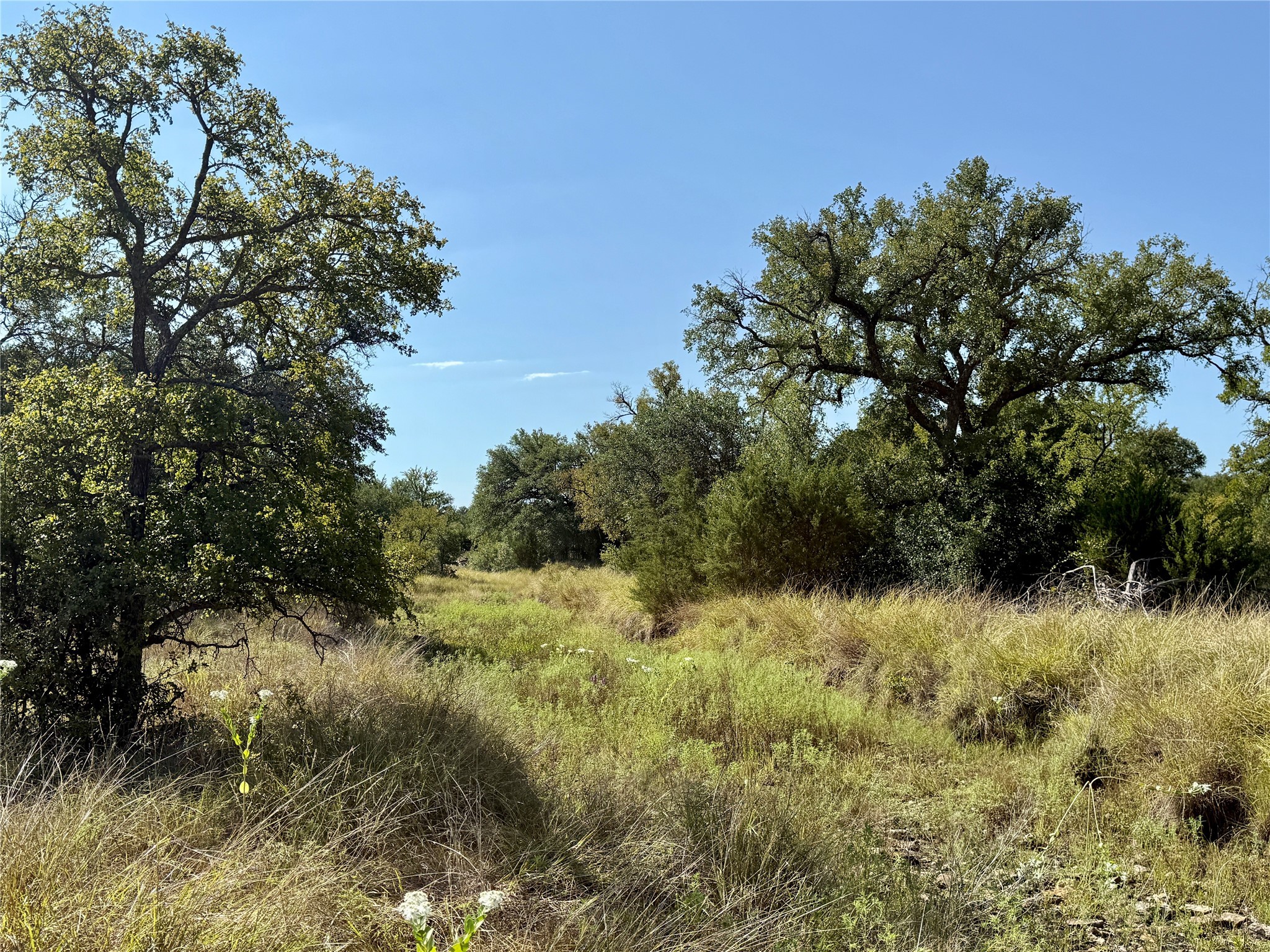 90 Fm 2492 Brownwood TX 76801