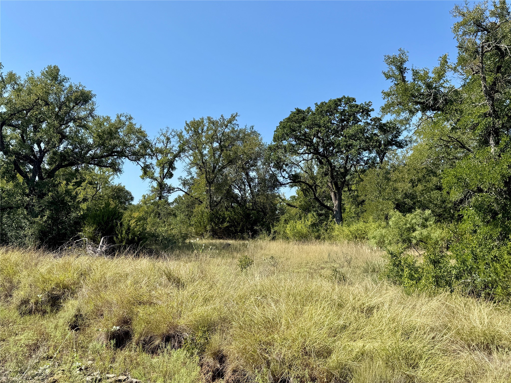 90 Fm 2492 Brownwood TX 76801
