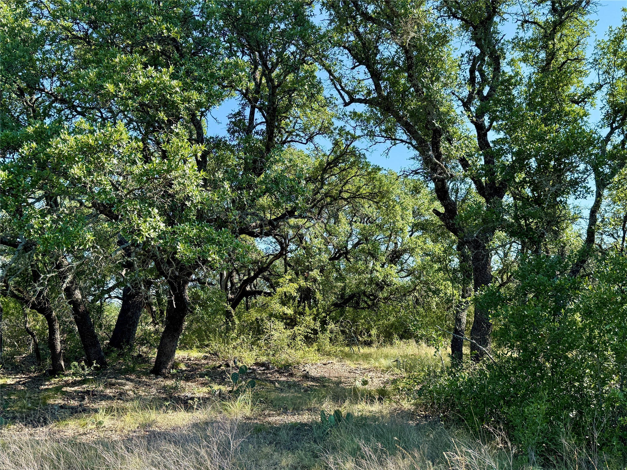 90 Fm 2492 Brownwood TX 76801